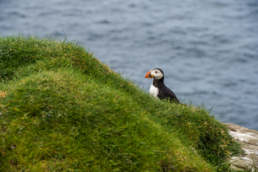 The Faroe Islands 2017 | Travel Blog » katekeyphotography.com